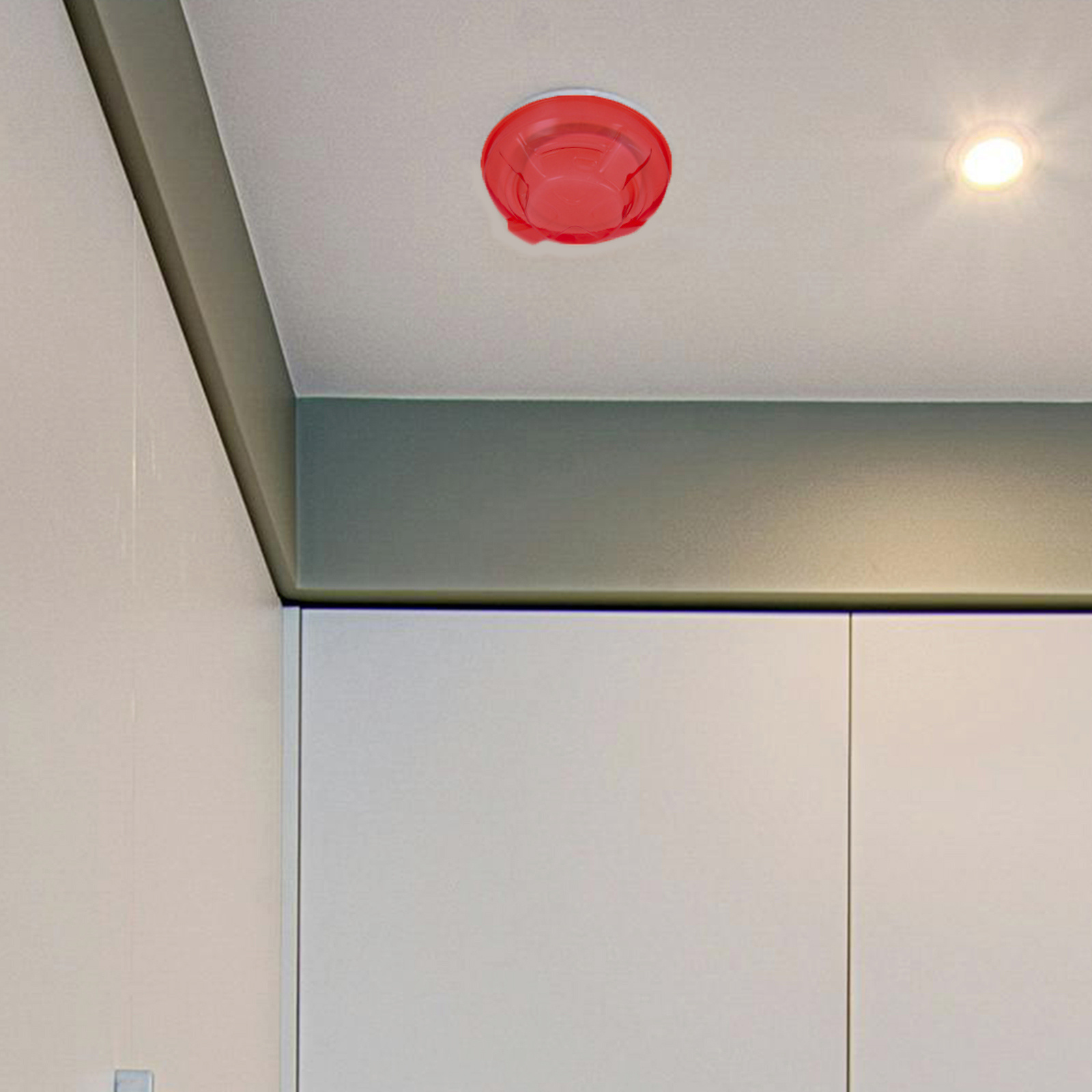 Housse de protection contre la - Commercial Kitchen Paint avis et prix